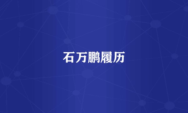石万鹏履历