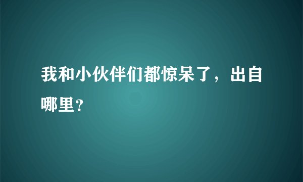 我和小伙伴们都惊呆了，出自哪里？