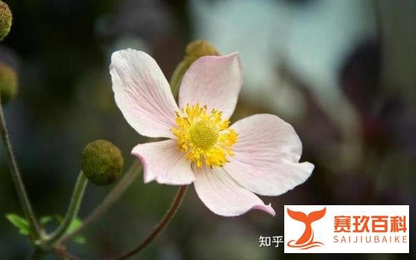 当你一无所有的时候,才知道谁最爱你