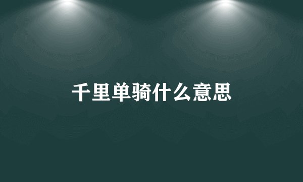 千里单骑什么意思