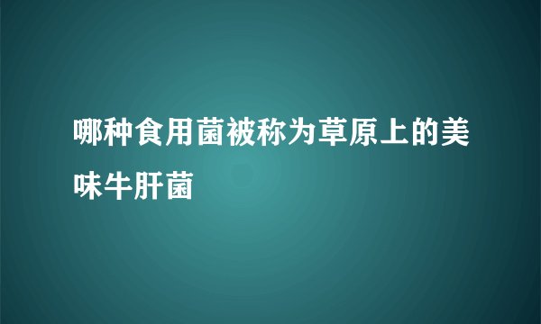 哪种食用菌被称为草原上的美味牛肝菌