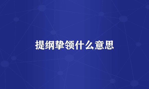 提纲挚领什么意思
