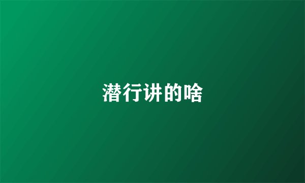 潜行讲的啥