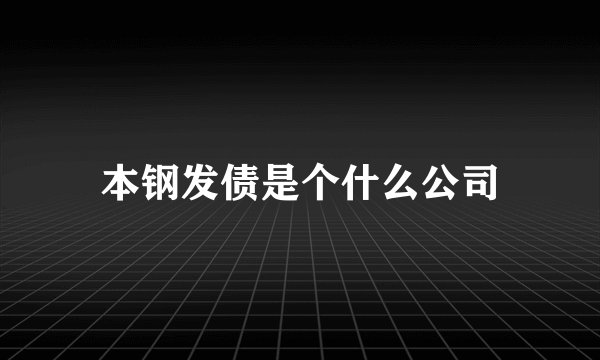 本钢发债是个什么公司