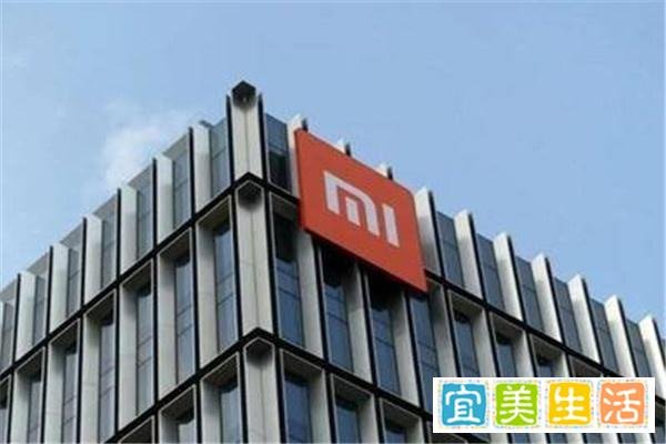 小米港股股价为何暴跌？