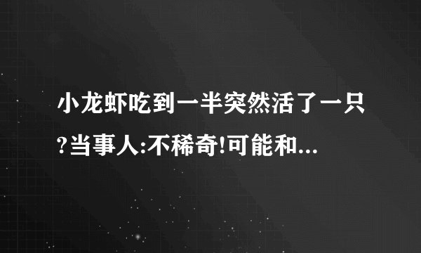 小龙虾吃到一半突然活了一只?当事人:不稀奇!可能和做法有关