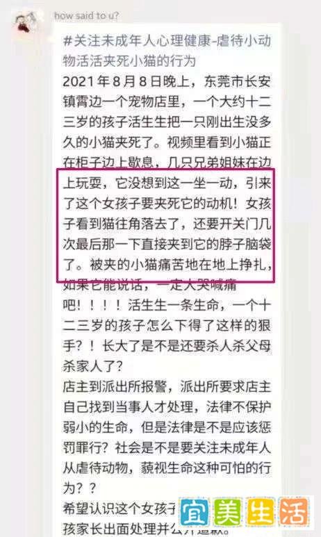 无心之失!女孩宠物店内推门夹死小猫,不堪网络暴力被迫入院
