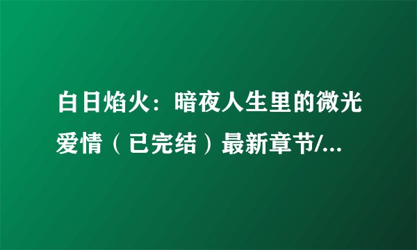 白日焰火：暗夜人生里的微光爱情（已完结）最新章节/全集txt免费下载