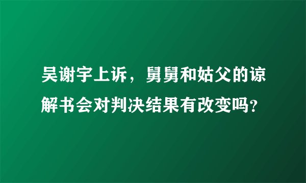 吴谢宇上诉，舅舅和姑父的谅解书会对判决结果有改变吗？