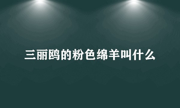 三丽鸥的粉色绵羊叫什么