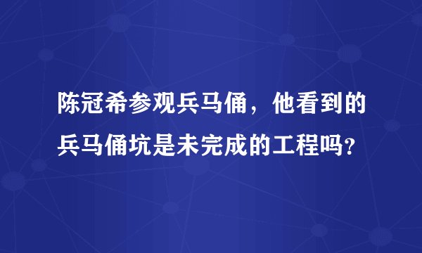 陈冠希参观兵马俑,他看到的兵马俑坑是未完成的工程吗?