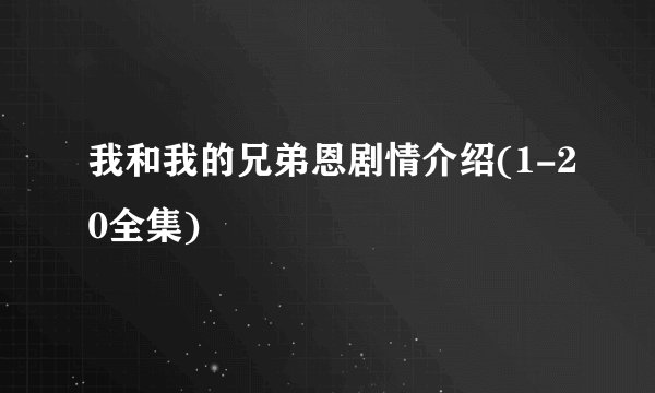 我和我的兄弟恩剧情介绍(1-20全集)