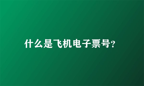什么是飞机电子票号？