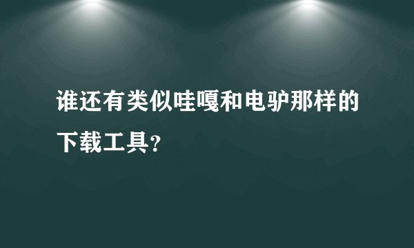 谁还有类似哇嘎和电驴那样的下载工具？