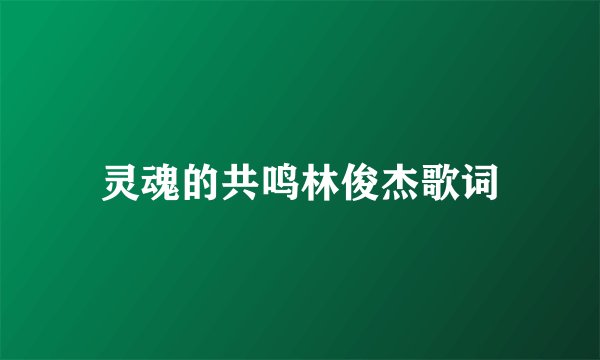 灵魂的共鸣林俊杰歌词