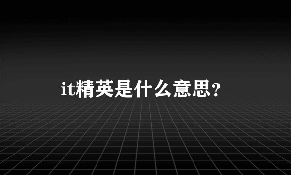 it精英是什么意思？