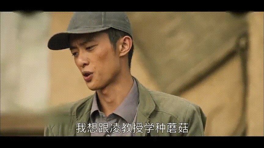 山海情：张一娟的故事，张一娟最后去哪里了？