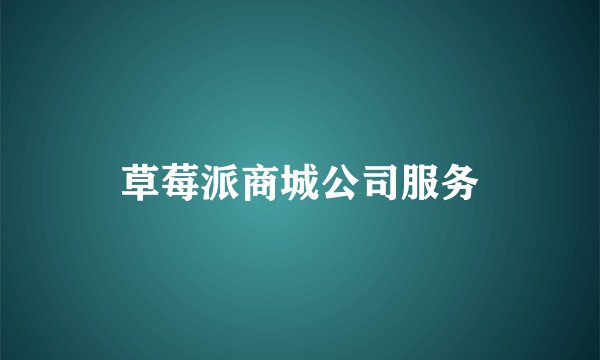 草莓派商城公司服务