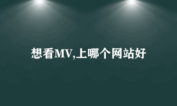 想看MV,上哪个网站好
