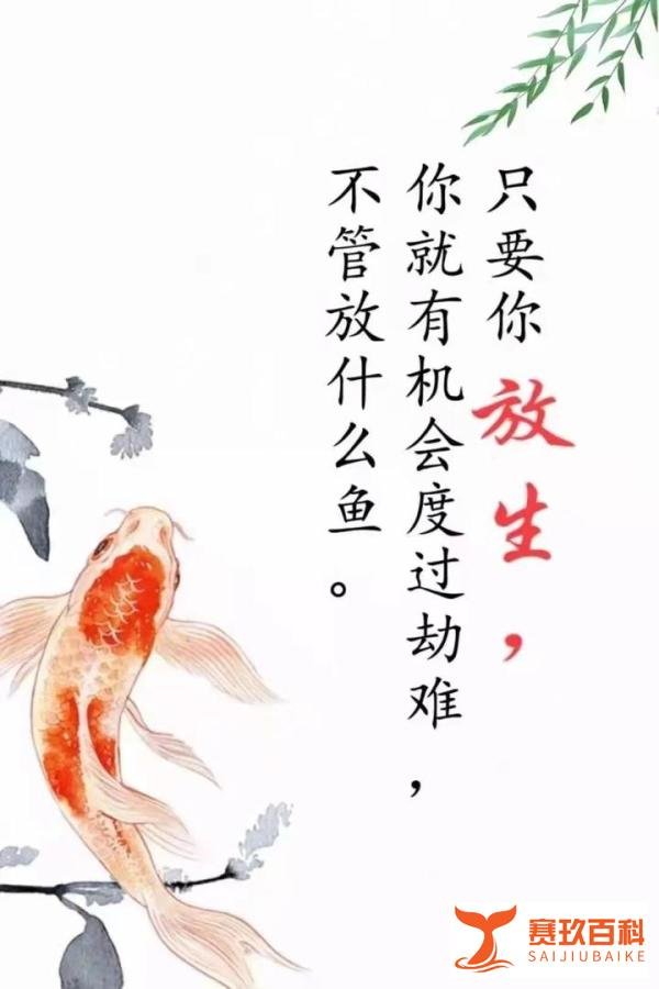 网红夫妇因钓鱼溺亡，年仅31岁（千万不要把钓鱼当做兴趣爱好）