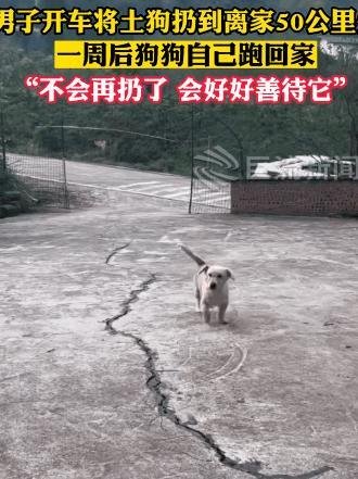 土狗被扔50公里外一星期后跑回家 这是咋情况?