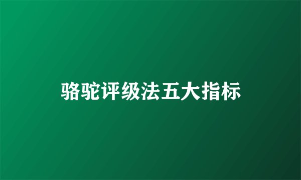 骆驼评级法五大指标