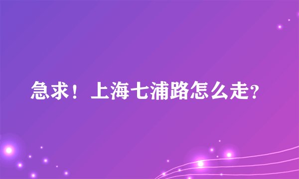 急求!上海七浦路怎么走?
