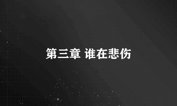 第三章 谁在悲伤