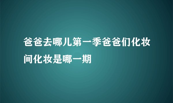 爸爸去哪儿第一季爸爸们化妆间化妆是哪一期