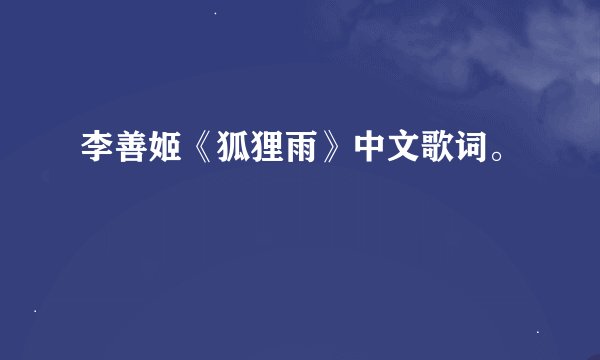 李善姬《狐狸雨》中文歌词。