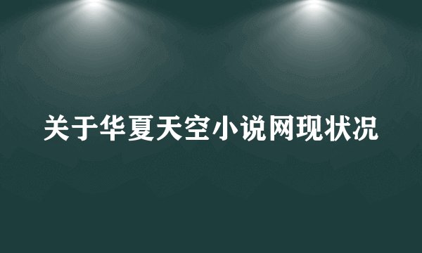 关于华夏天空小说网现状况