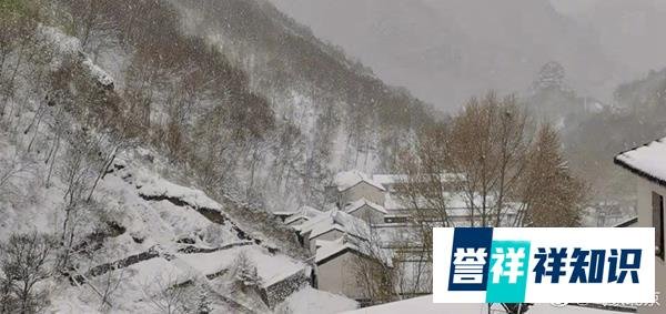 北京四月飘雪 这是咋情况？
