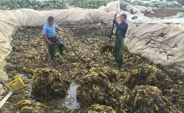 土坑酸菜涉事企业官网称客户含肯德基、康师傅等，这件事会发酵到哪种程度？