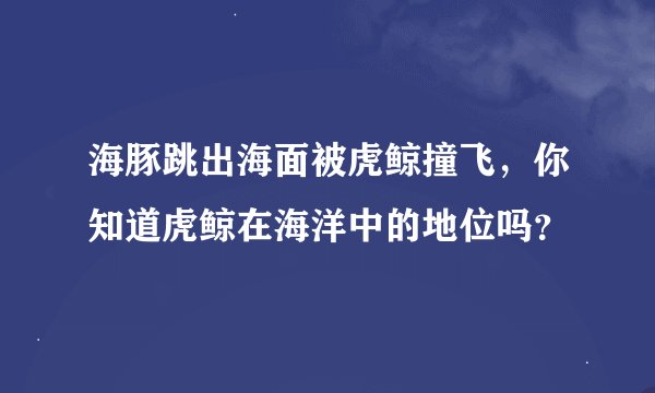 海豚跳出海面被虎鲸撞飞，你知道虎鲸在海洋中的地位吗？