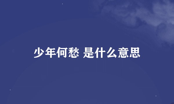 少年何愁 是什么意思
