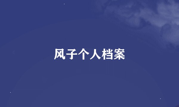 风子个人档案