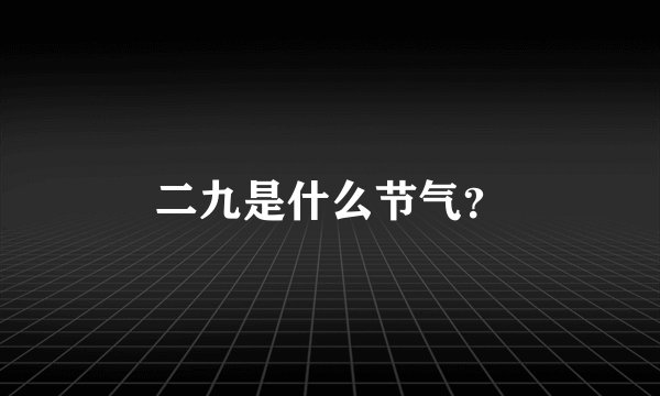 二九是什么节气？