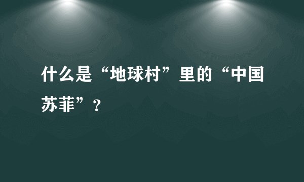 什么是“地球村”里的“中国苏菲”？