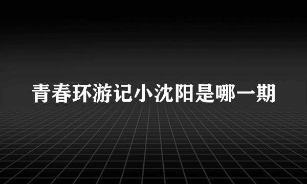青春环游记小沈阳是哪一期