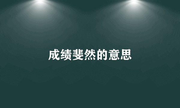 成绩斐然的意思