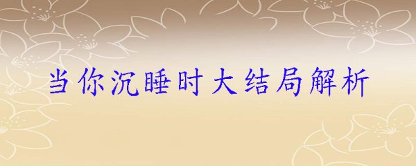 当你沉睡时大结局解析