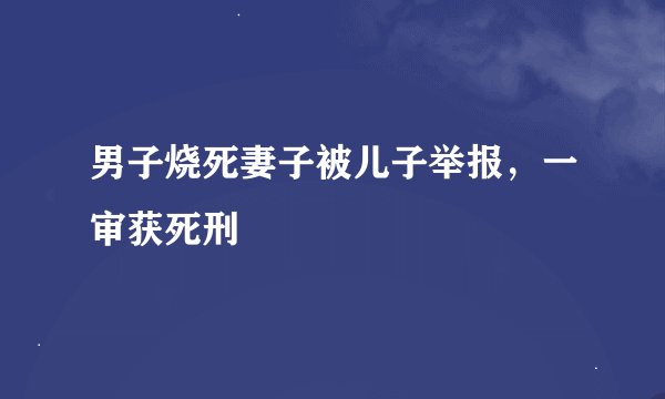 男子烧死妻子被儿子举报，一审获死刑