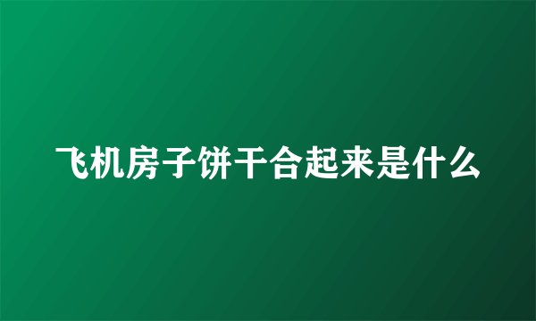 飞机房子饼干合起来是什么