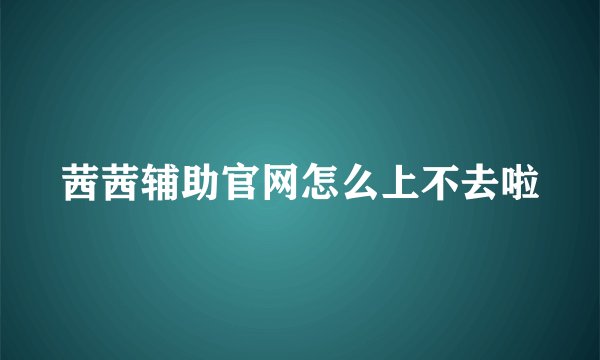 茜茜辅助官网怎么上不去啦