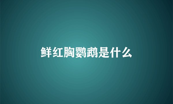 鲜红胸鹦鹉是什么