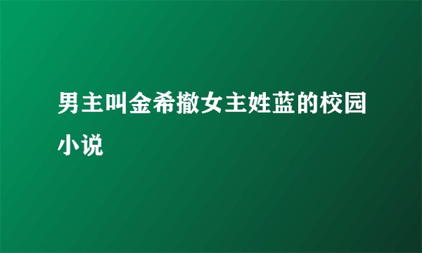 男主叫金希撤女主姓蓝的校园小说