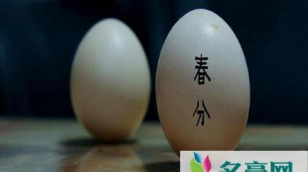 春分竖蛋是生鸡蛋还是熟鸡蛋 春分鸡蛋为什么能立起来