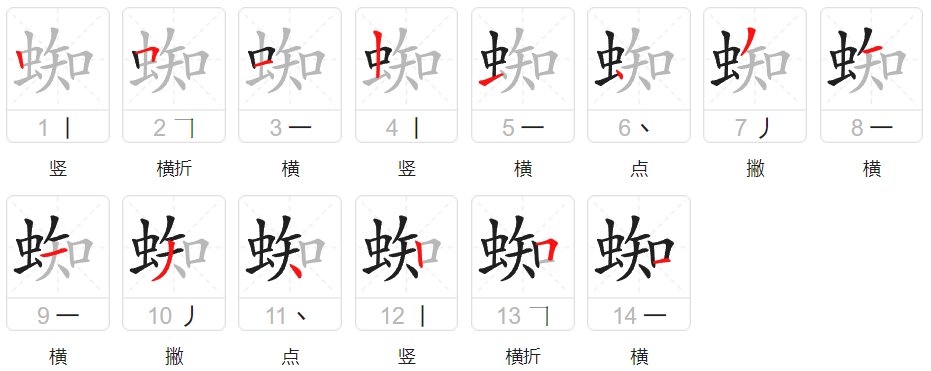 蜘蛛能组哪些词语呢？