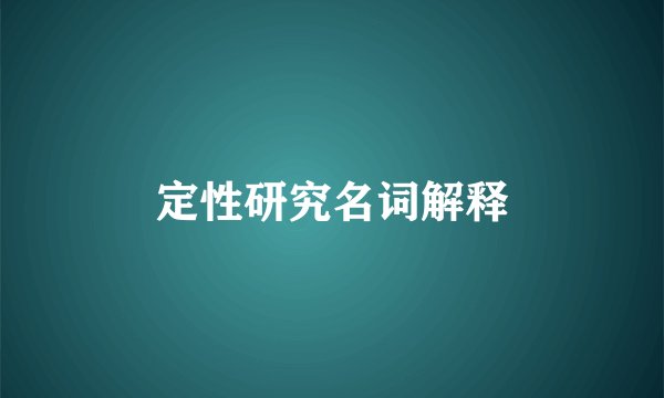 定性研究名词解释