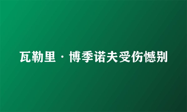 瓦勒里·博季诺夫受伤憾别